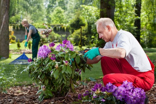 PayPal and card payment options for tree surgery services