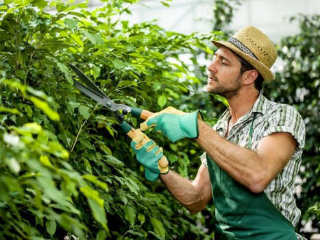 Internal reporting process for suspected modern slavery concerns